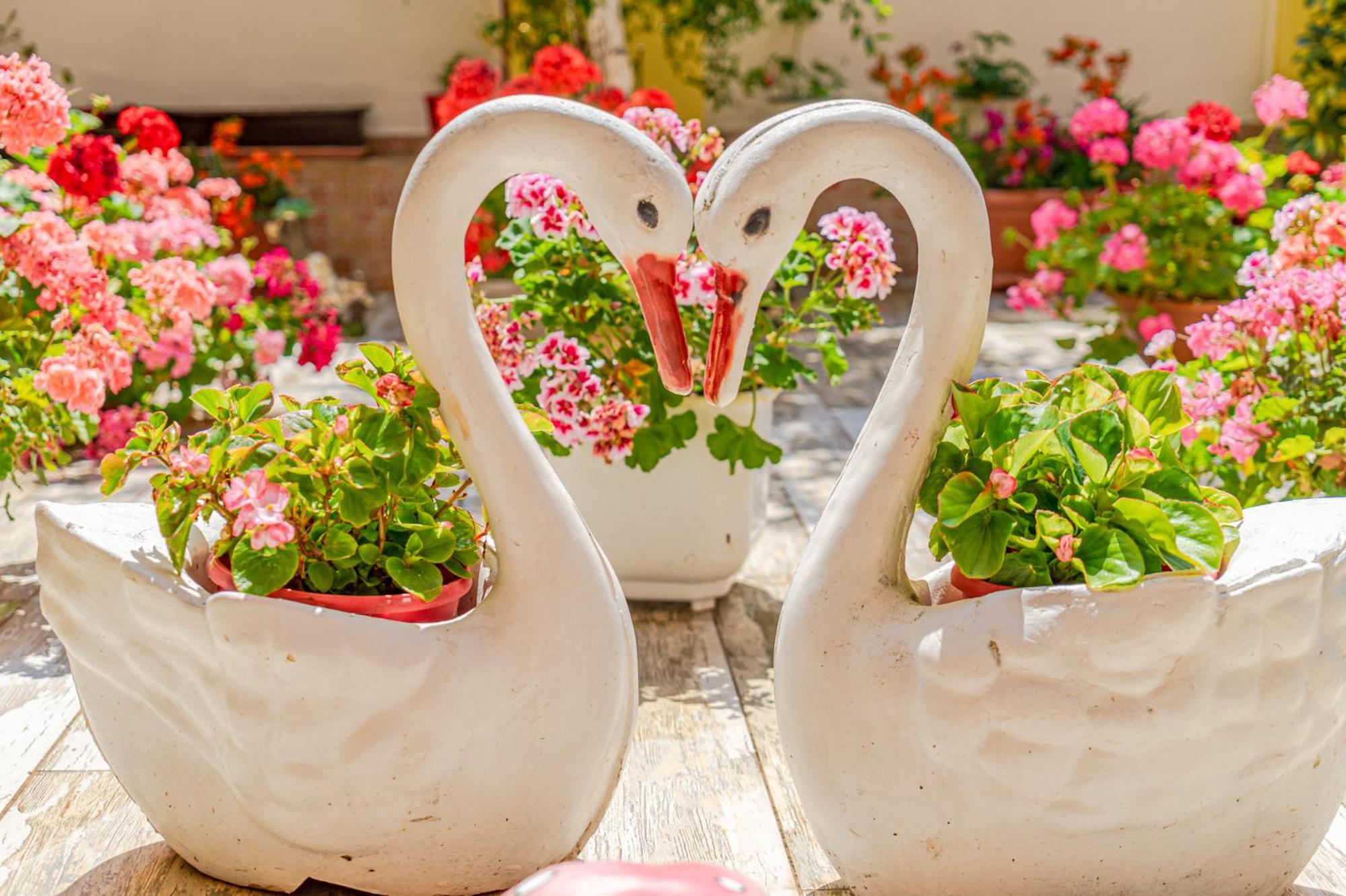 Boutique Guest House 'Sofia' Nesebyr Zewnętrze zdjęcie